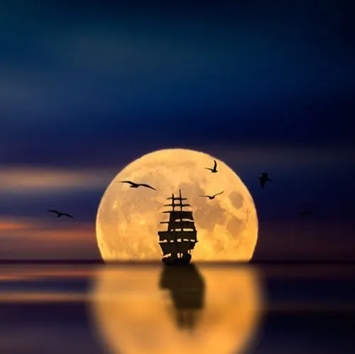 Stargazer