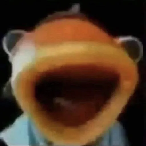 X Z