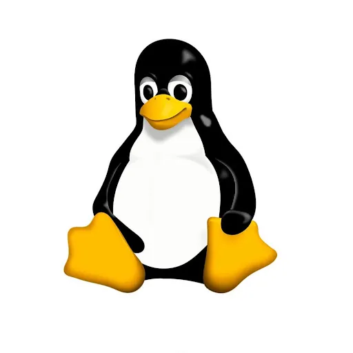 LinuxUser2010