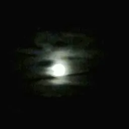 moontalker moontalker