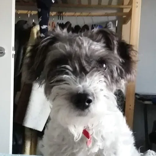 Jakub