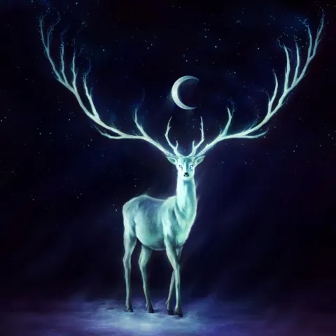 rosesrabbitsandravens