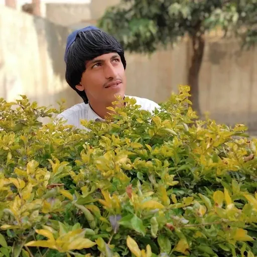 Aslam Afghan