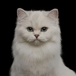 L B