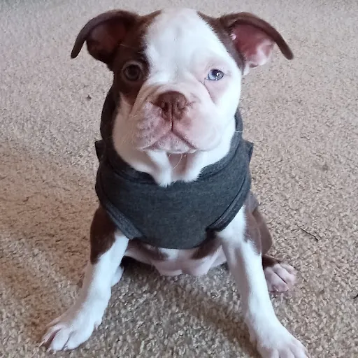 Ryder Armendariz
