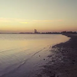 Feras Alghamdi