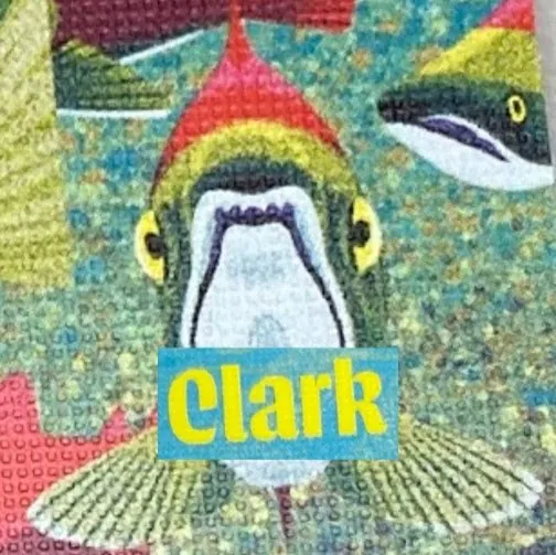 Clark Donacik