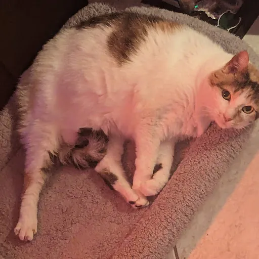 Merrik wright