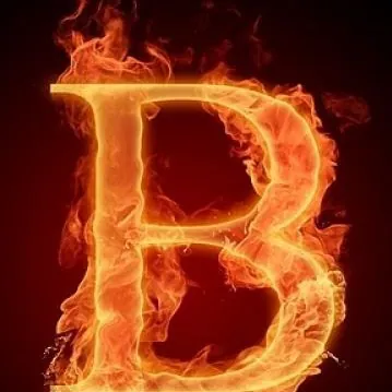 FIRE 205