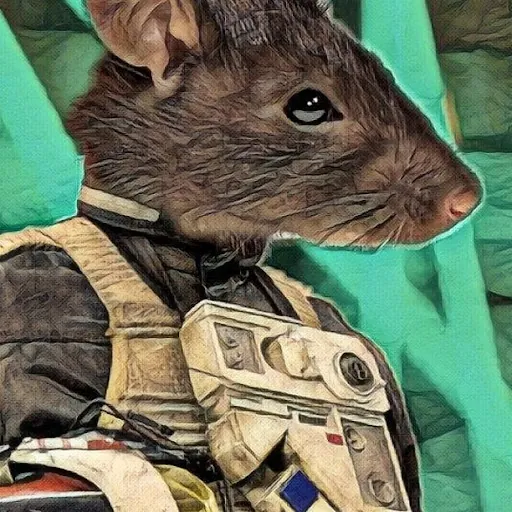 Ratty No13