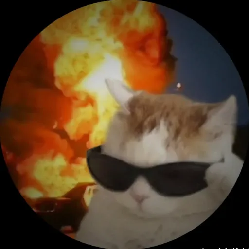 o B