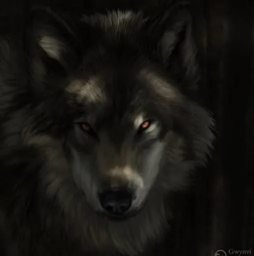 1 Wolf