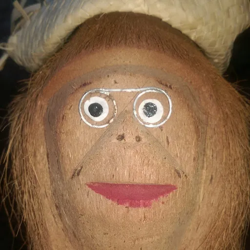 Mr M