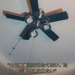 Ceiling Fan