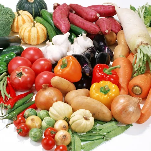 Healthy Life Europe
