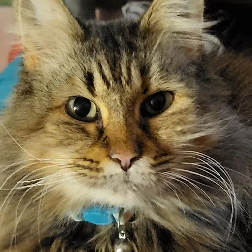 Ruby Pickles
