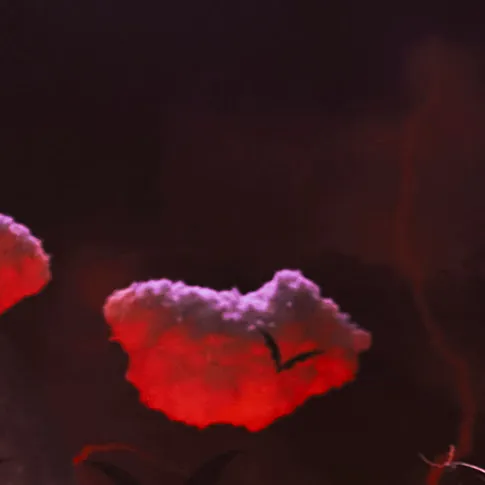 Red Cloud