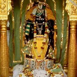 Jalpa h Patel
