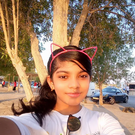 Henin Saji