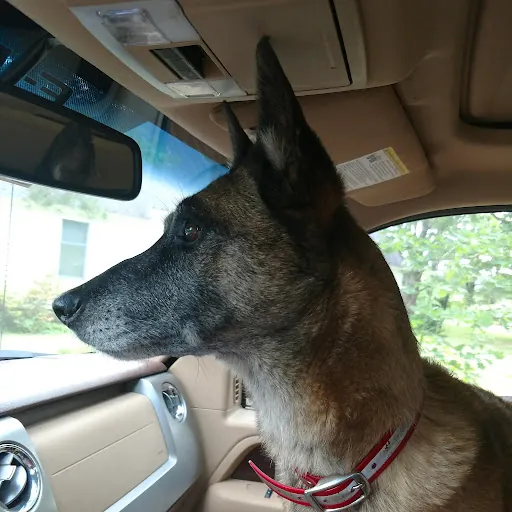 Capt. Bull