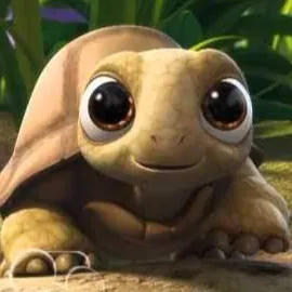 Turtles