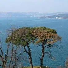 Lokman Tütüncü
