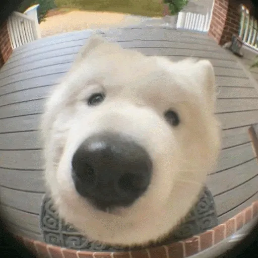 R - S