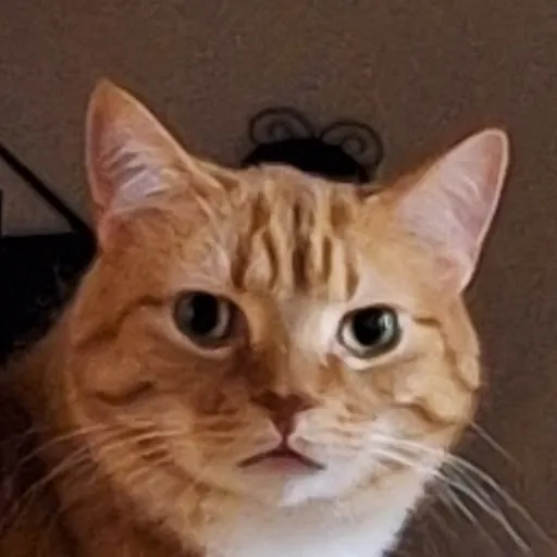 IzabeeB 9
