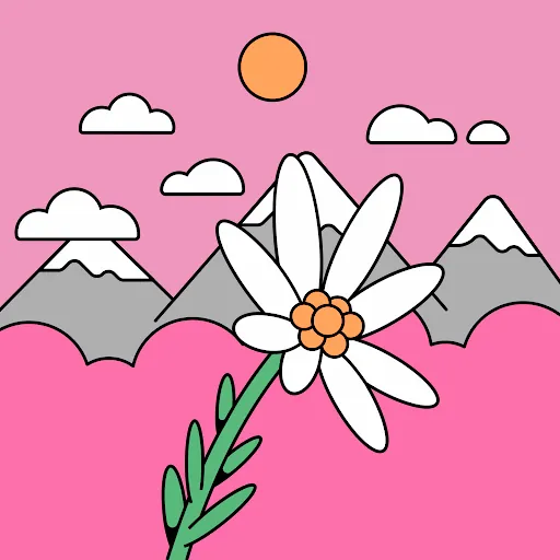Damla