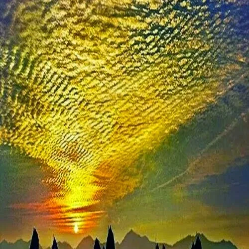 Caron Conard