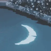 M.