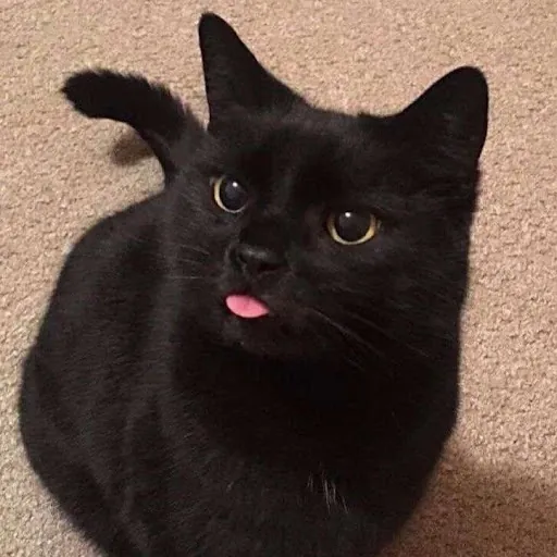 Kit Kat