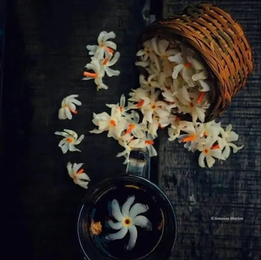 Naser Abu