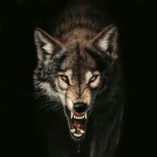 Ravenous-wolf 311