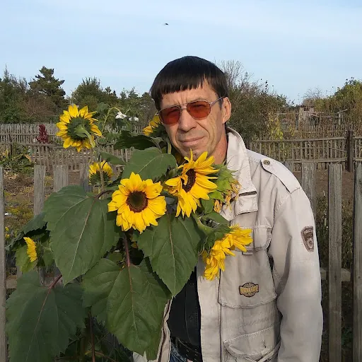 Daniyar Sitdikov