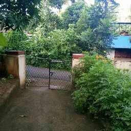 Ivin Inasu Chungath