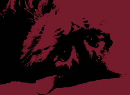 m x