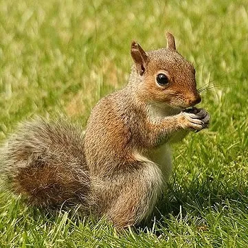 J T