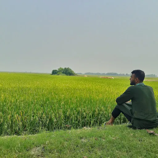 Ashfak Ahmed Wazed