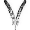 S.Enki.Woodcock