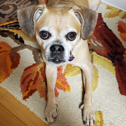 Tom