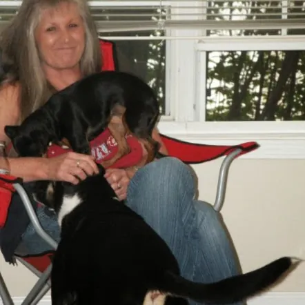 Gayle Eckstein