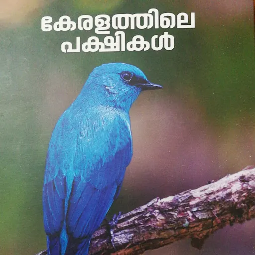 birds of kerala Channel
