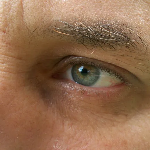 Hernan Stefanini