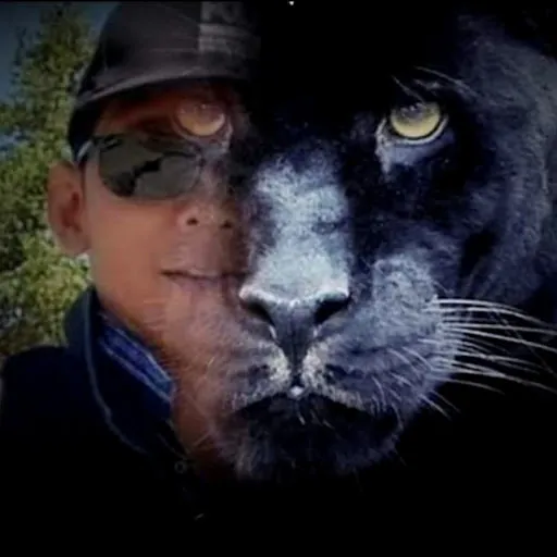BLACK TIGER