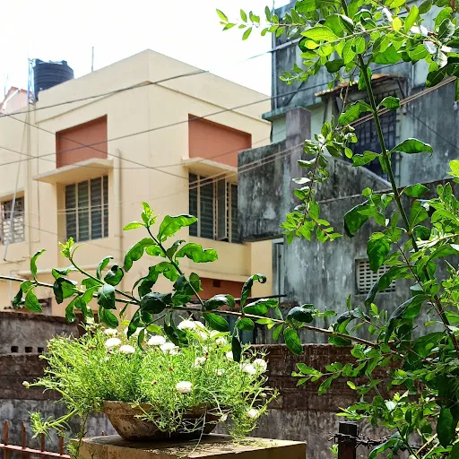 Dyuti Basu