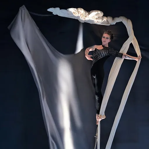 The Quantum Artist