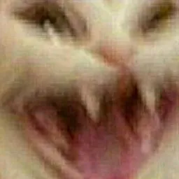 Q Nm