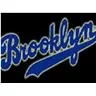 Brooklyn 11218