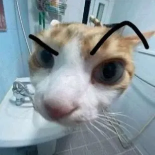 Kepeep